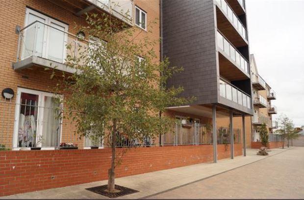 Vetrelax Chelmsford Apartment Exterior foto